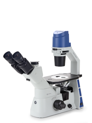 Slika Oxion Inverso (fluorescence